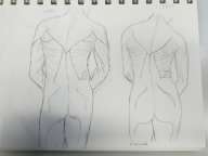 back muscles of a man and a woman